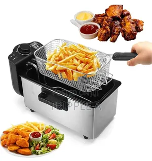Avinas Electric Deep Fryer