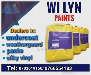Wilyn Paints