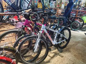 Stinger Mountain Bike