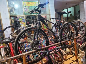 Spector Mountain Bike