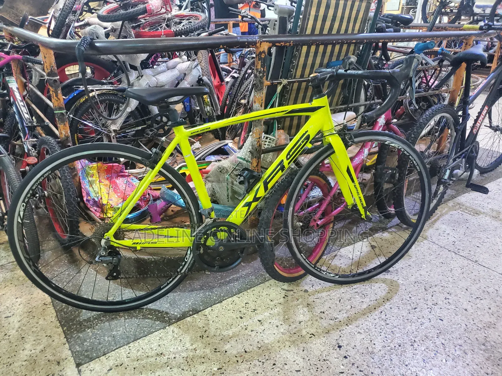 Samchuly Appalanchia XRS