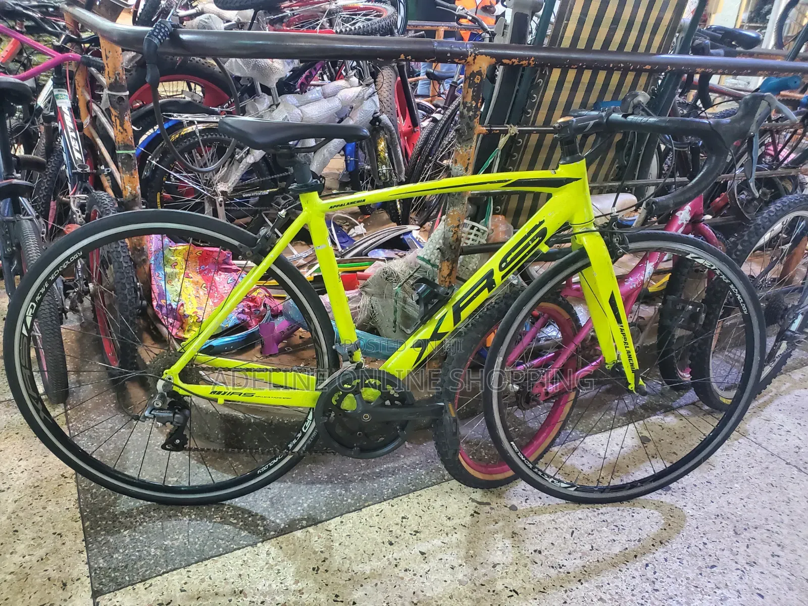 Samchuly Appalanchia XRS