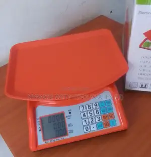 Weigh Portable Weighing Scale For Gems Weigh Portable Weighing Scale