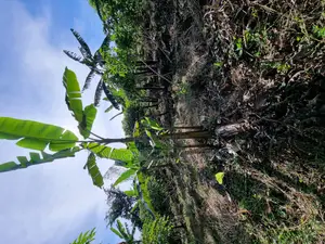 Land for Sale in Katende
