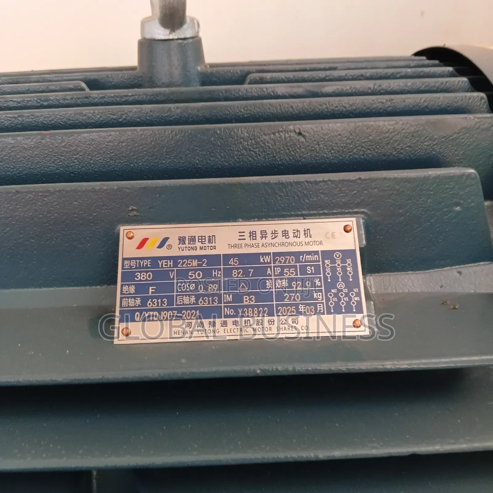 45kw Three Phase Induction Electric Motor