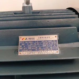 45kw Three Phase Induction Electric Motor