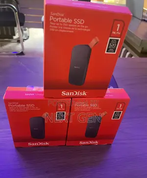 SSD Sandisk