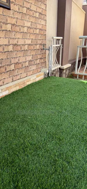 High-Quality Green Grass Carpet for Schools, Homes Balconies