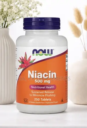 Now Niacin 500mg 250 Tablets