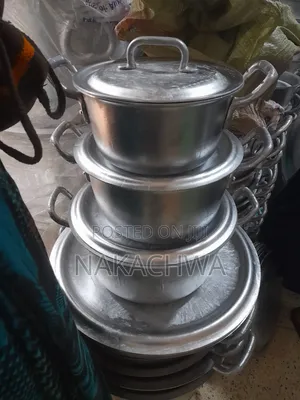 Food Source Pan With Handle