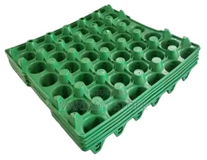 Plastic Egg Trays Designed For Storing And Transporting Eggs.