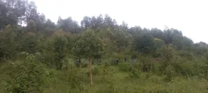 1⁄2 Acre (50 Decimals) on Sale