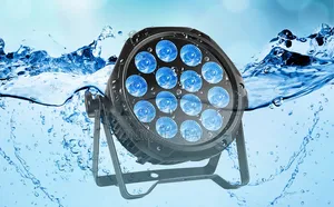 Par Lights, Outdoor Waterproof Par Can Light, RGBW