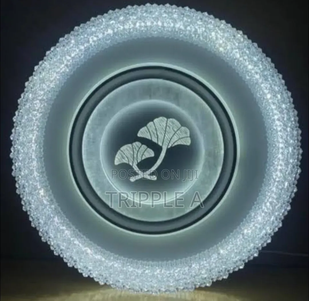 Perfect Simple Ceiling Light