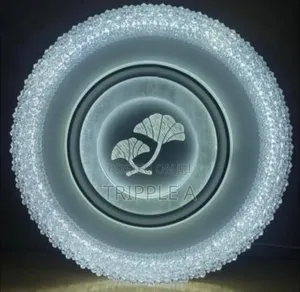 Perfect Simple Ceiling Light