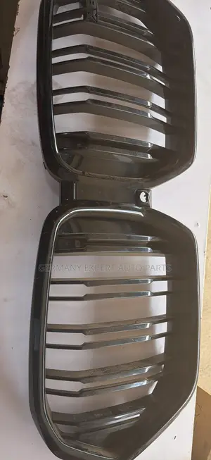 Front Grill for BMW X6/E71