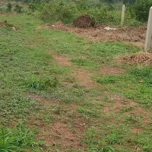 Affordable Plot With Private Mile Land Title on Table on Forced Sale