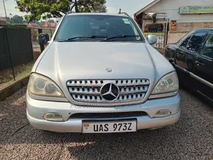 Mercedes-Benz M Class 2003 Silver