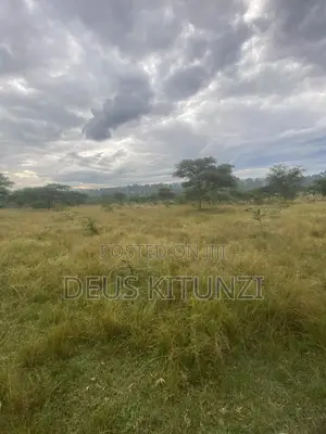 25 Acres on Sale – Kitwe T/C, Ntungamo