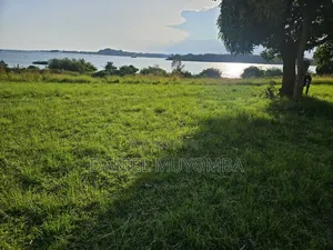 10 Acres in Garuga at 650m Per Acre