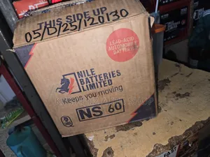 N60 Acid Battery