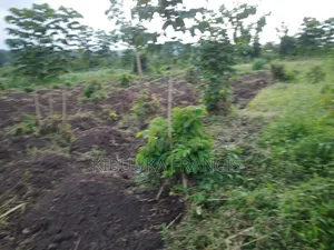 4 Acres Fertile Titled Land for Sale at Semuto