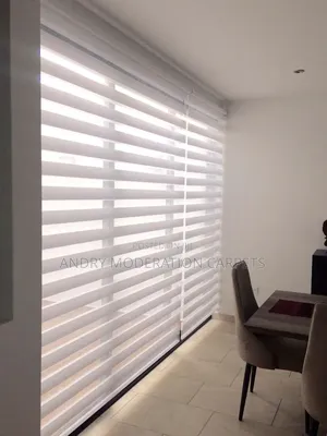 White Zebra Blind Curtains