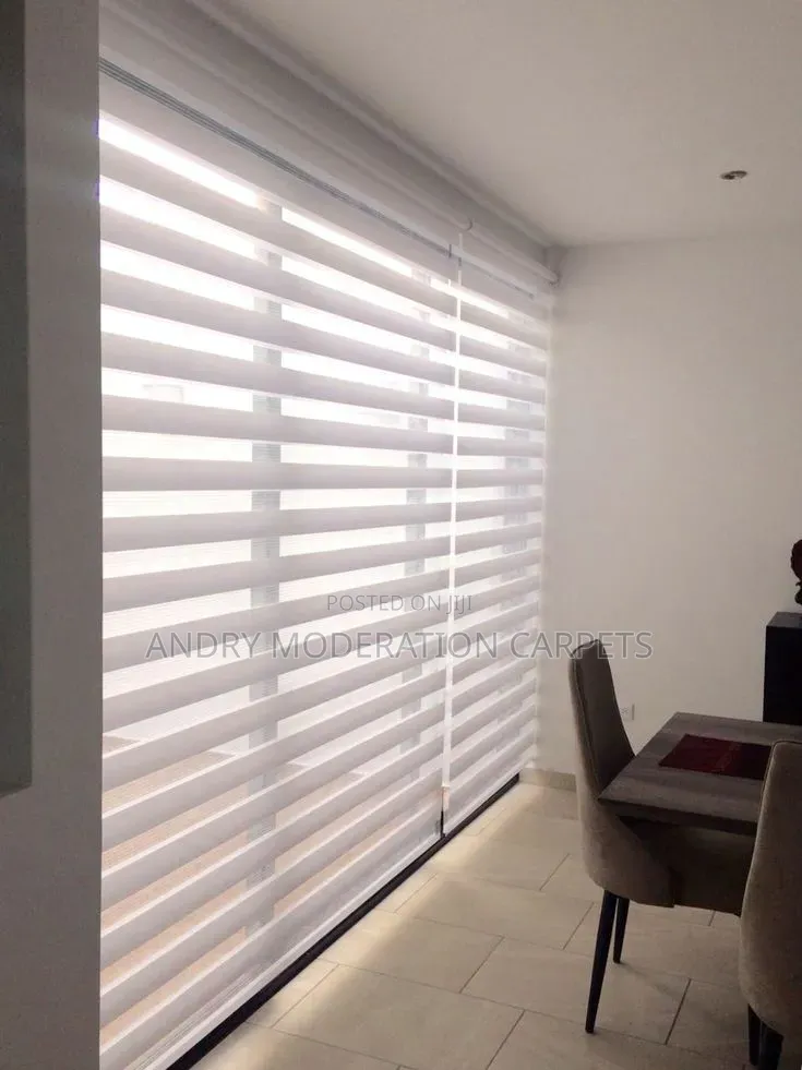 White Zebra Blind Curtains