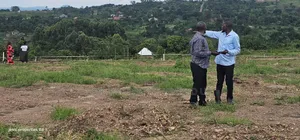 Namayumba Town View Estate Plots for Sale