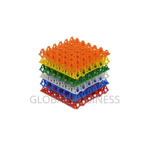 30-Count Plastic Egg Tray – Durable Practical