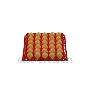 30-Count Plastic Egg Tray – Durable Practical