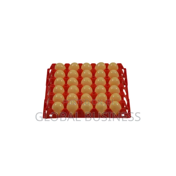 30-Count Plastic Egg Tray – Durable Practical