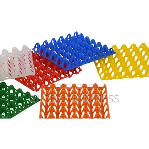 30-Count Plastic Egg Tray – Durable Practical