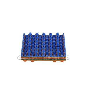 30-Count Plastic Egg Tray – Durable Practical