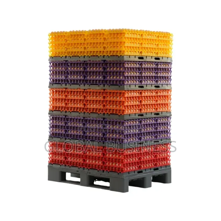 30-Count Plastic Egg Tray – Durable Practical