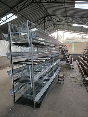  H-Type Chicken Cage – Strong, Modern Affordable! 