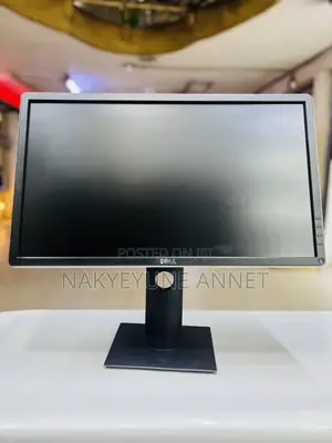Dell 24 Inch Monitor