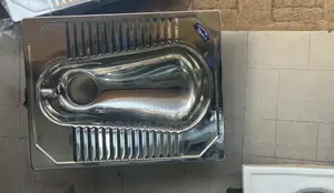 Stainless Scotting Toilets