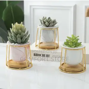 Ceramic Flower Pot With Wooden Base