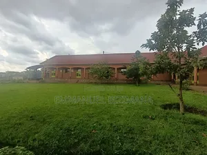 Primary School for Sale