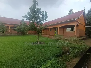 Primary School for Sale