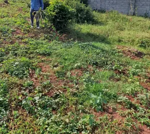 100 × 100 in Kira Namugongo for Sale With a Ready Title