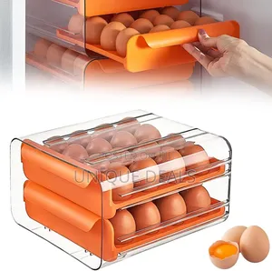 Plastic Chiller Anti-Drop Egg Storage Box