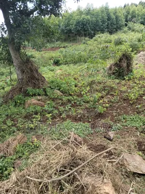 Mukono; Kayanja: Half Acre for Sale Ugx 30m