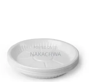 8package of Disposable Plates Midum Size