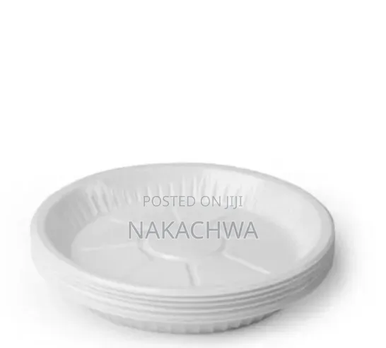 8package of Disposable Plates Midum Size