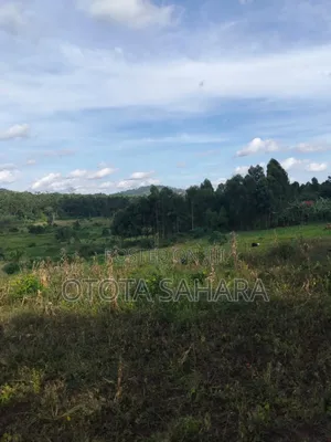 Mukono : Namataba : 4 Acres for Sale. Each Ugx 47m