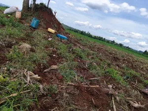Mukono : Kayanja : For Sale 11 Acres. Each Ugx 20m