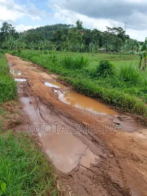 Mukono : Kayanja : 50 by 100 at Ugx 12m