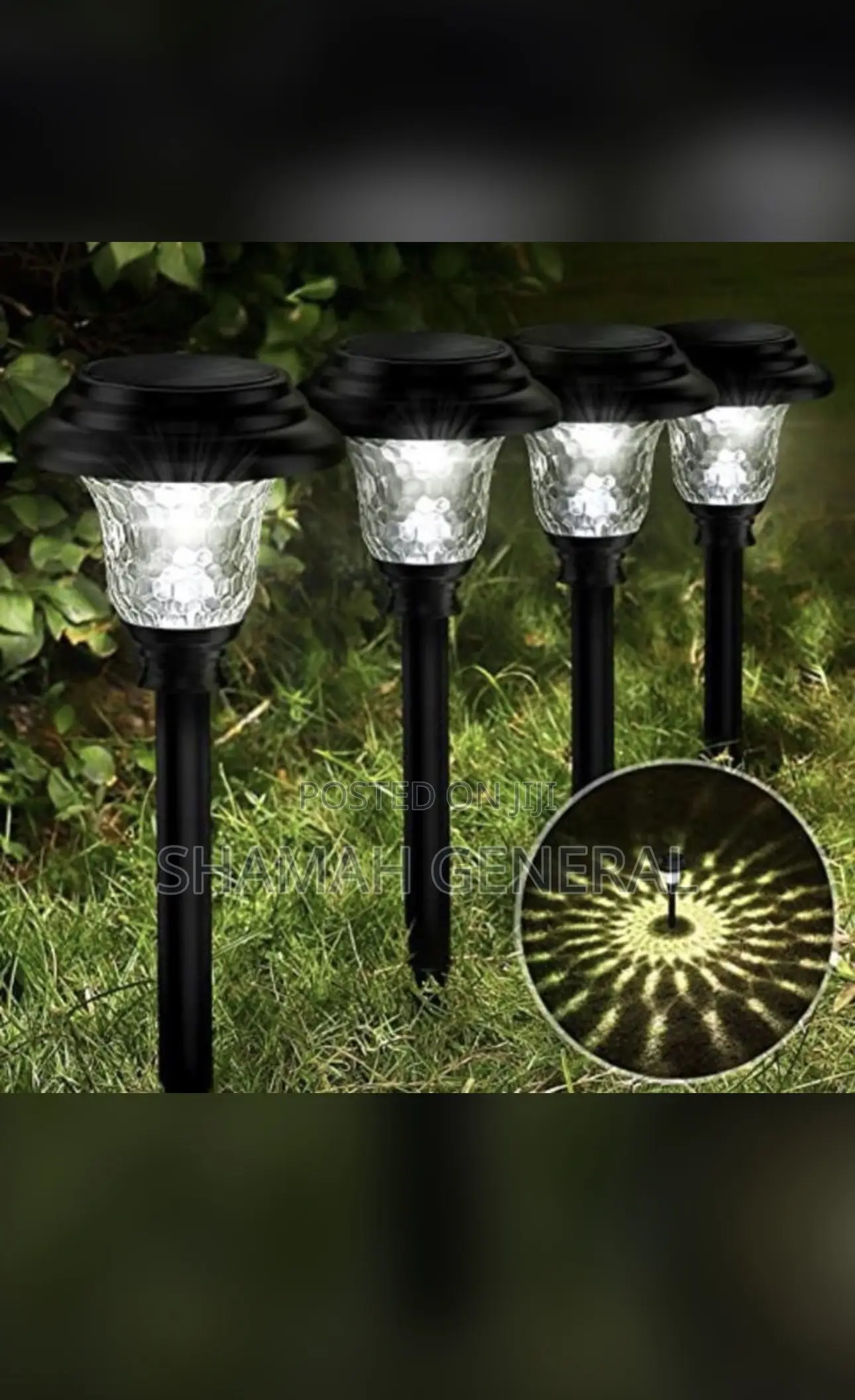 Solar Garden Lights